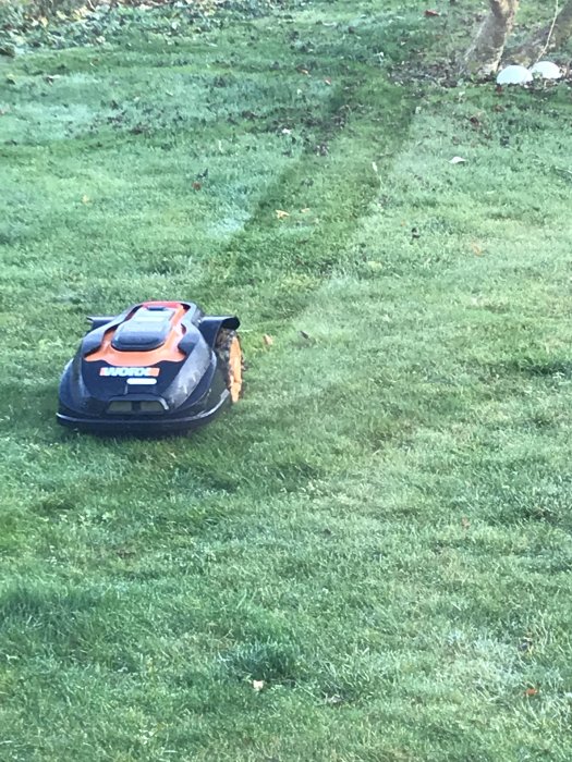 Robotgräsklippare i arbete på en frodig gräsmatta efter sommartorkan.