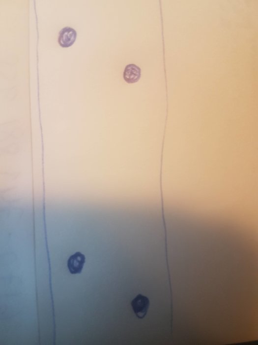 Illustration av skruvpositioner med två par förskjutna skruvar på en vägg.