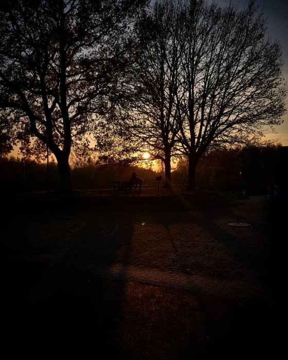 Solnedgång i Skrylle med silhuetter av träd och en person sittandes på en parkbänk.