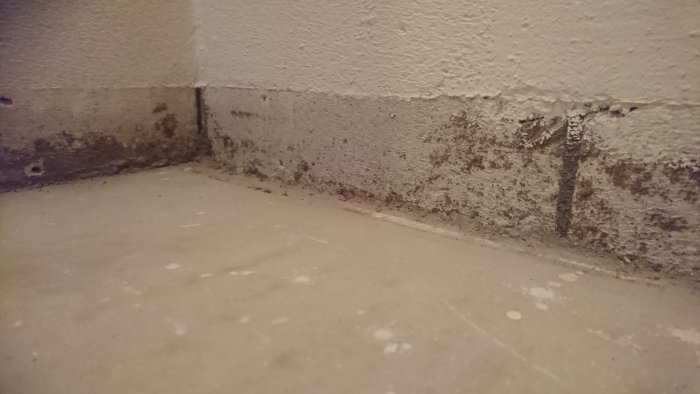 Mörkgråa fläckar bakom socklar på vägg i klädkammare, misstänkta för mögel eller kalkutfällningar.