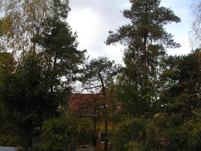 PA052048.jpg