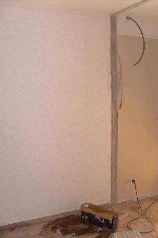 SL381715.jpg