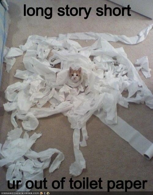 Katt omgiven av uppriven toalettpapper på golvet med texten "long story short ur out of toilet paper".