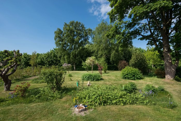 Välunderhållen trädgård från 70-/80-talet med stora träd och gröna buskar under sommarsolen.