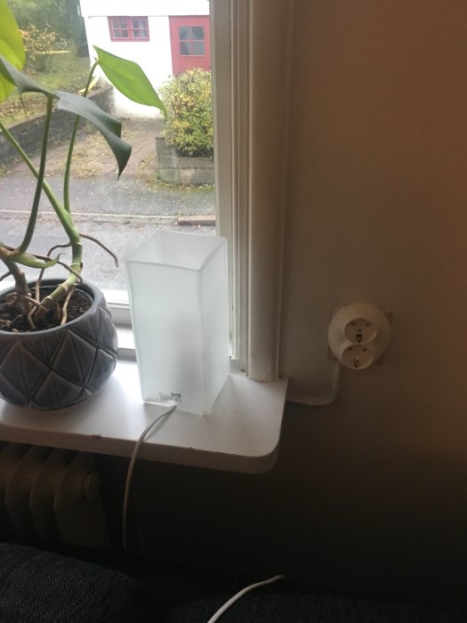 Vy genom ett fönster i ett äldre hus, med en växt på fönsterbrädan och en klassisk vit kontakt till höger.