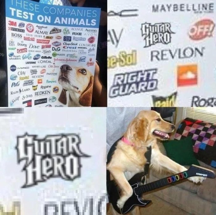 Collage av fyra bilder, inklusive en lista över företag som testar på djur, en hund som ser på, en suddig Guitar Hero-logotyp och en hund som 'spelar' Guitar Hero.