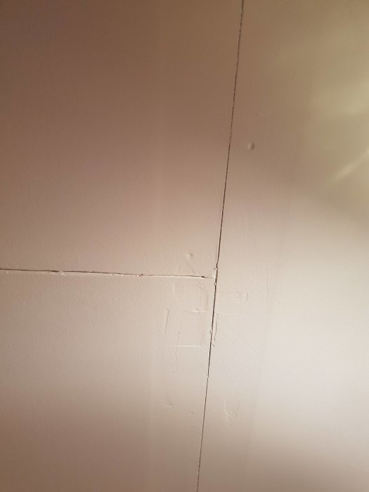 Ojämnt tak med synliga skarvar och spikhuvuden på vitmålade gipsskivor.