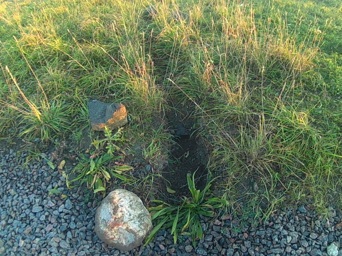 Öppen grävd kanal i gräsmark bredvid grusväg med stenar och vegetation, avsedd för dränering.