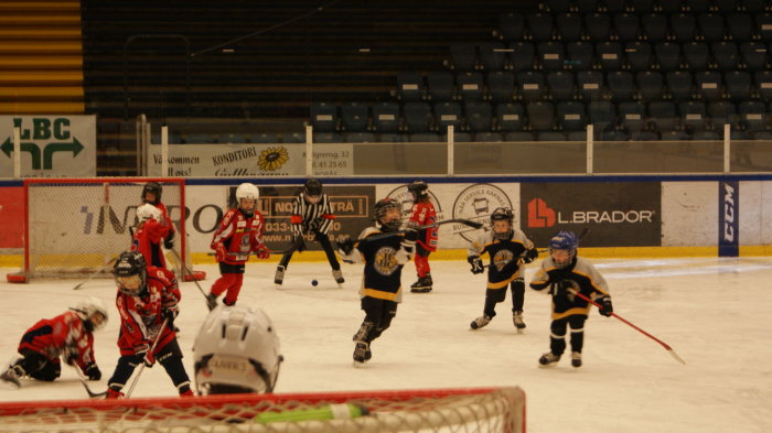 Barn som spelar ishockey i en ishall, en målvakt i förgrunden och aktiva spelare i bakgrunden.