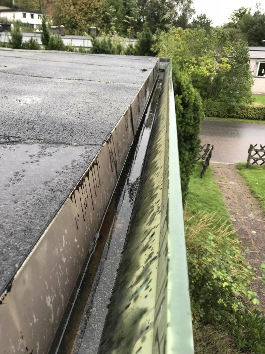 Bilden visar en närbild på ett låglutande tak med en avtagen kant där skador och fukt kan ses, omgiven av grönska.