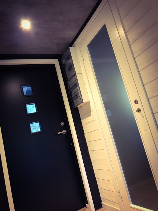 Nyrenoverad hall med mörk dörr och vit panelvägg, modernt ljusinsläpp och reflekterande ytor.