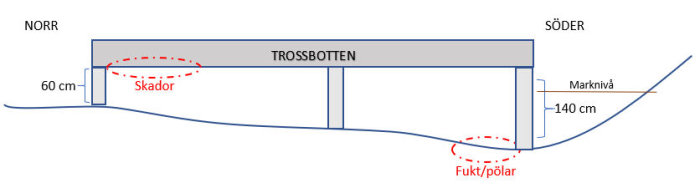 Diagram som visar skador på trossbotten och fuktintrång i en krypgrund, med markerade fuktzoner och skadade områden.