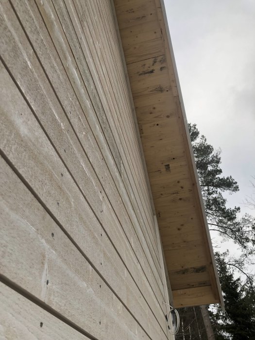 Nybyggt hus med råspont och svartmögel på vägg och under takutsprång.