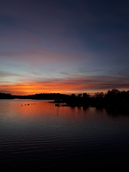 Solnedgång över en sjö med silhuetter av träd och en brygga, färggrann himmel.