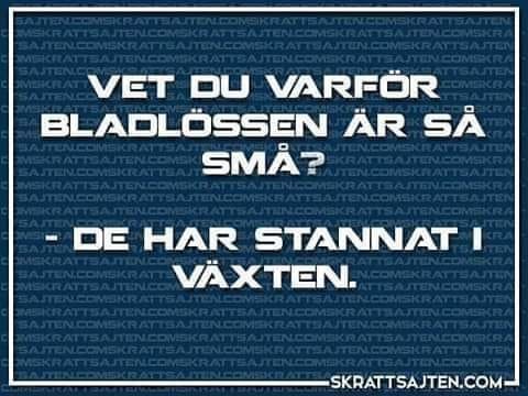 Text på bild med skämt: "Vet du varför bladlössen är så små? - De har stannat i växten." Logotyp i hörnet.