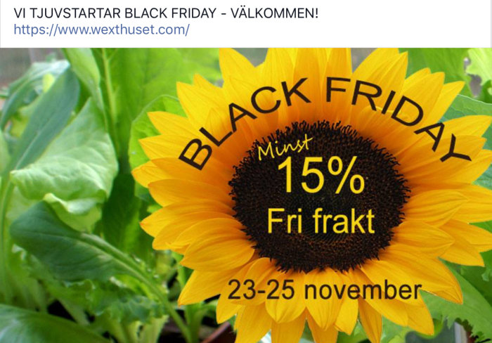 Solros med texten "Black Friday Minst 15% Fri frakt 23-25 november" för en försäljningskampanj.