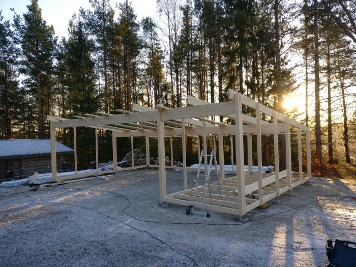 Carport under konstruktion med takbjälkar delvis monterade, omgiven av skog i morgonsol.