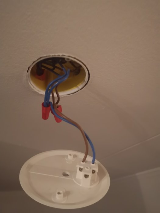 Elektriska kablar utan säkring kopplade till taklamphållare, blå och brun tråd synlig.