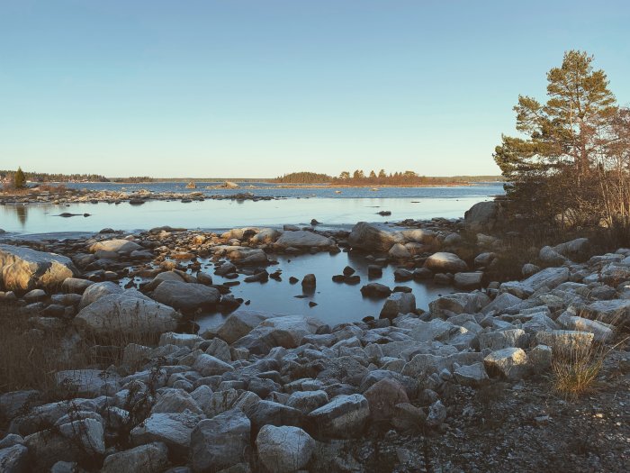 Kustlandskap vid gatans slut med stenig strand, stilla vatten och träd i eftermiddagsljus.