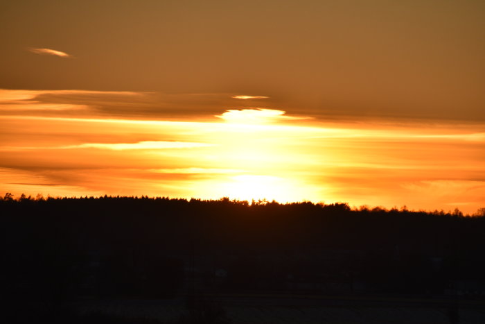 Glödande solnedgång med rika orangefärgade nyanser över en silhuett av träd och landskap.