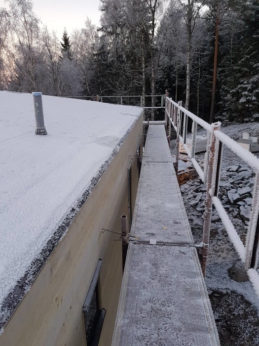 Snötäckt hustak med nyinstallerad panel och en uppsättning nya plåtar längs takets kant mot en skogsbakgrund.