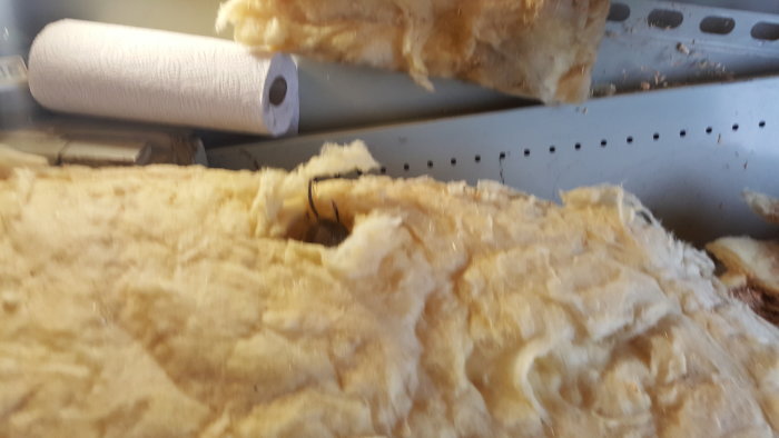 Trossbotten synlig där isolering har rivits bort, med tydliga tecken på mögel eller röta.