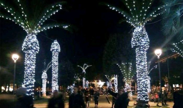 Palmträd dekorerade med lysande vit julbelysning på en promenadgata på kvällen.