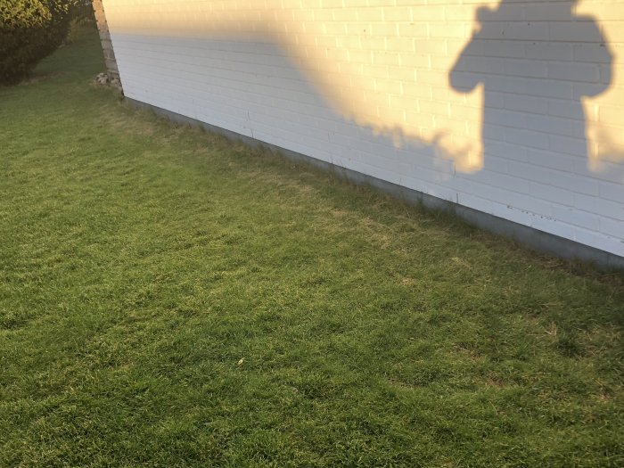 Vit husgavel med gräsmatta, skugga av person, potentiell fuktproblem vid grunden.