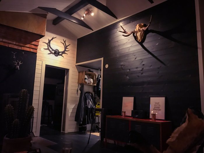 Mörkt vardagsrum med svarta väggar, djurhorn på väggen, möbler och belysning.