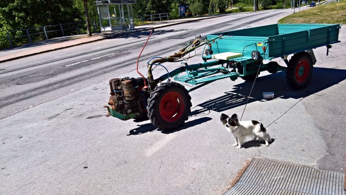 En gammal IRUS traktor kopplad till en grön släpvagn på en asfalterad väg med en liten hund framför.