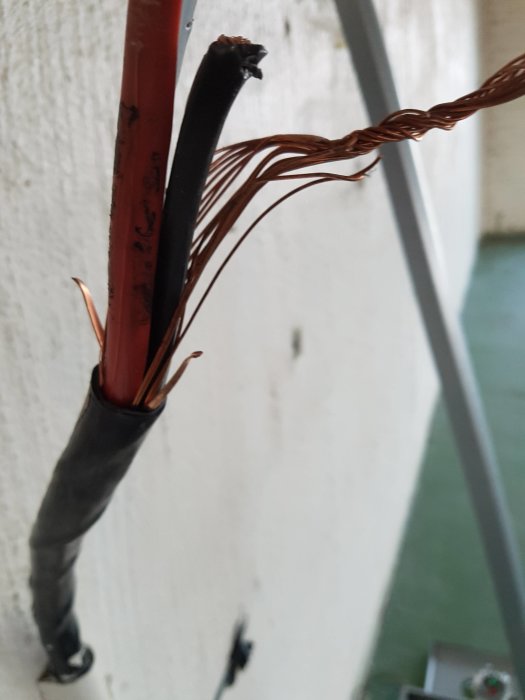 20181207_104700[1].jpg