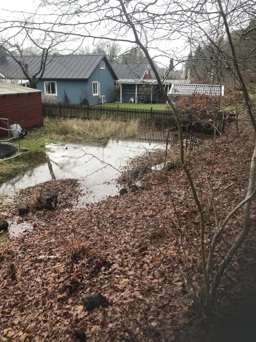 Vattensamling i en trädgård med löv på marken och hus i bakgrunden.