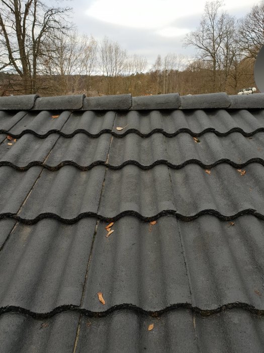 Tak med svarta betongpannor i gott skick utan synliga skador, några löv på ytan, dagtid.