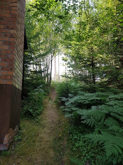 Stig bredvid en tegelbyggnad i skogsmiljö med ormbunkar och småträd.