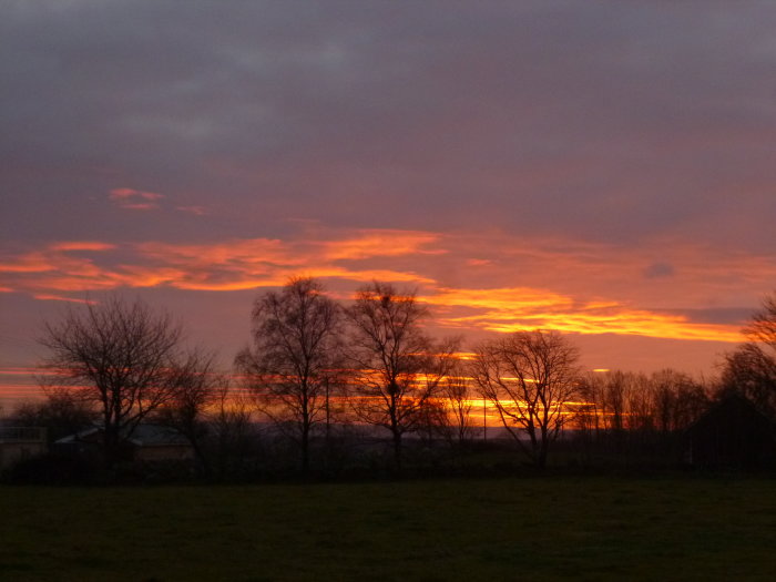Sunset with vibrant orange colors in sky and silhouettes of bare trees.