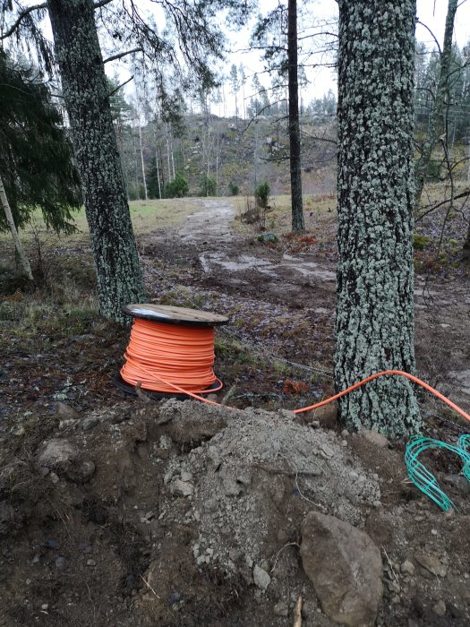 Trumma med orange byggkabel i en skogig terräng, utrullad över marken vid en grävd grop, med tallar i bakgrunden.