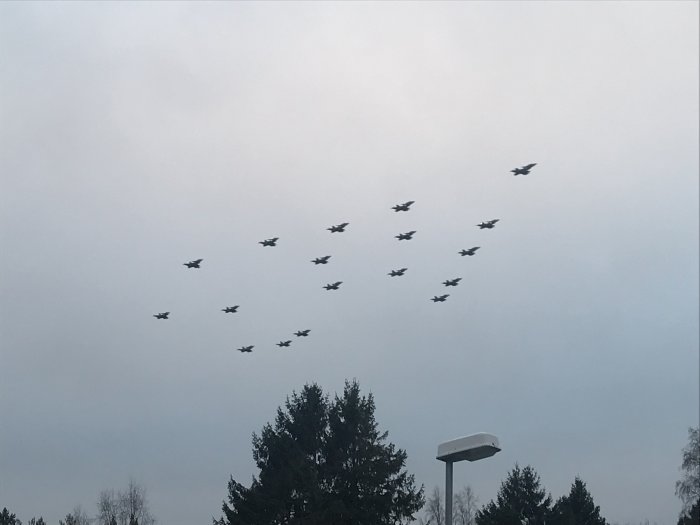 Formation av stridsflygplan mot en disig himmel över trädtoppar och en lyktstolpe.