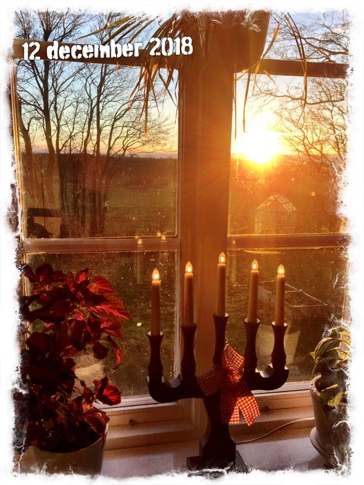 Solnedgång ses genom ett fönster med en tänd adventsljusstake och julpoinsettia på fönsterbrädan.