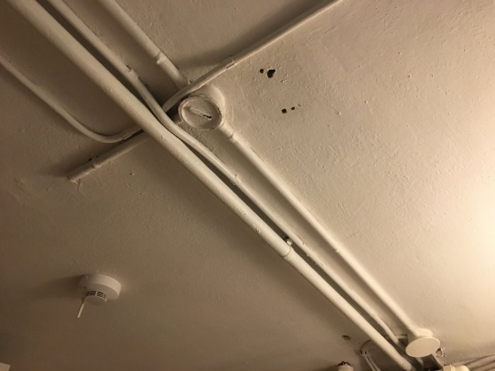Vitmålat källartak med original och tillagda rördragningar samt en brandvarnare.