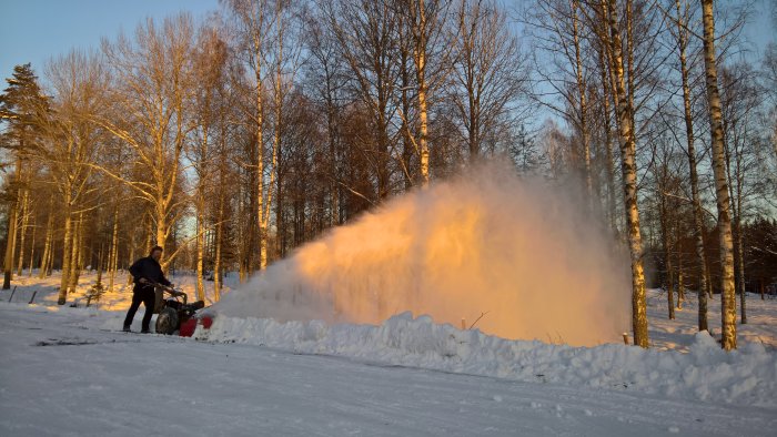Person använder en äldre röd och svart enstegsslunga för att sprida snö på vintern.
