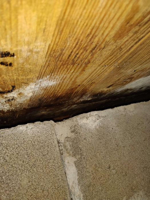 Träbjälke och betonggrund i krypgrund med misstänkta fläckar av mögel eller skadedjur.