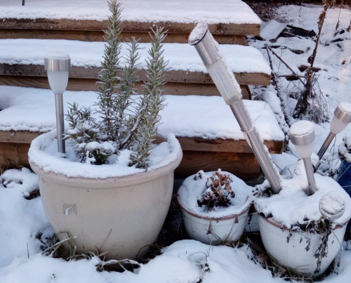 Krukor med örter och snö täckta solcellslampor på en vintrig altan.