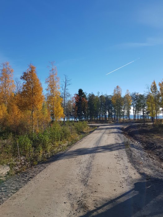 Grusväg som leder till en korsning med utsikt över vattnet, omgiven av träd i höstfärger och klarblå himmel.