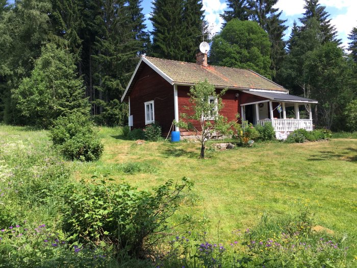 Rödmålat litet torp med tegeltak omgivet av grönskande trädgård och skog under sommartid.