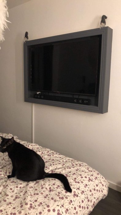 Tv och soundbar monterade på väggen inuti en mörk ram med hylla, över en säng med en svart katt.