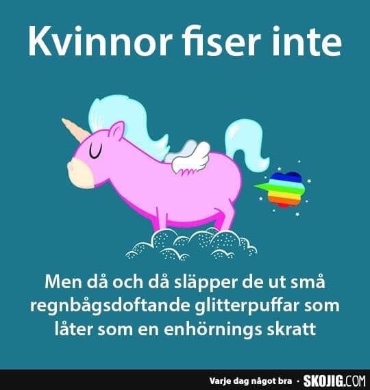 Illustration av rosa enhörning med glitter och regnbåge, text om att "kvinnor fiser inte" utan släpper glitterpuffar.