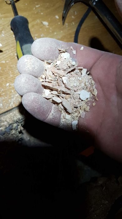 received_350871815714992.jpeg