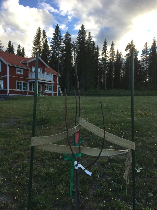 Röd villa med vita knutar, balkong och stor gräsmatta, omgiven av skog i skymningsljus.
