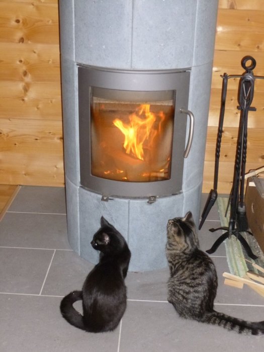Två katter som myser framför en tänd kamin i ett rum med träväggar.