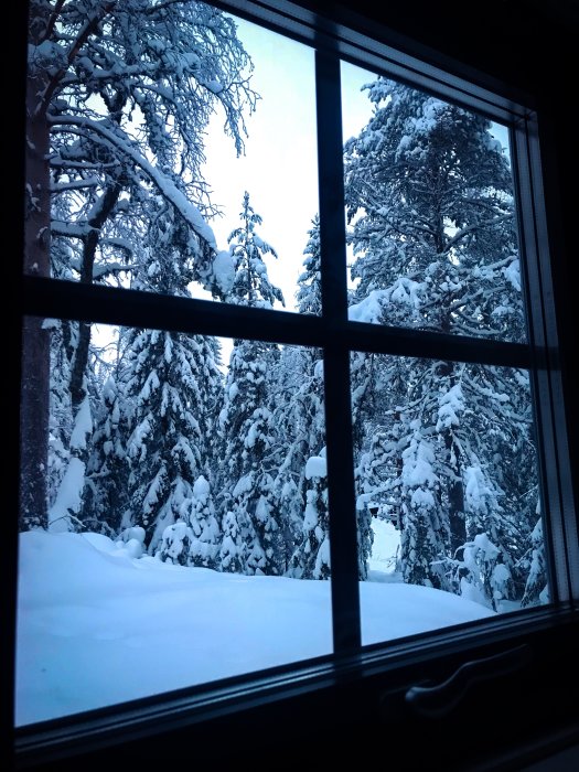 Utsikt genom fönster på snötäckta träd i skymningen, ger en känsla av frid och njutning.